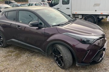 salon Polska hybryda